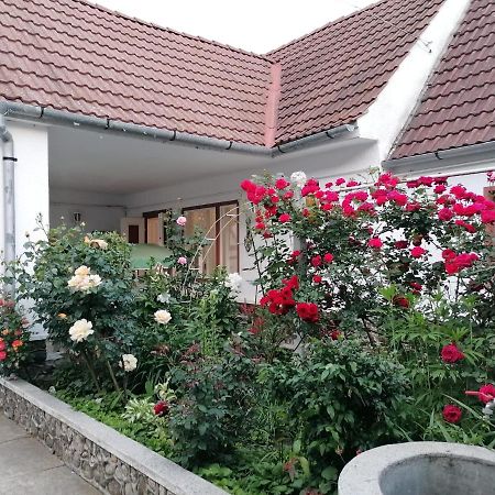 Pensiunea Spack Hotel Cristian  Luaran gambar