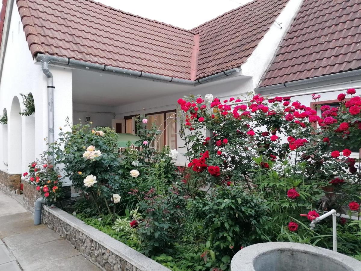 Pensiunea Spack Hotel Cristian  Luaran gambar